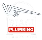 Logo for Biagi Plumbing, featuring a stylized pipe graphic above the company name.