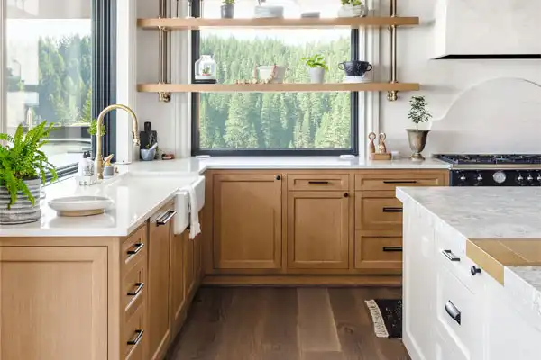 Biagi Plumbing the leaders in plumbing repair in Chicago’s North Shore